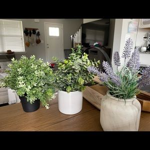 Fake house plants with white lantern